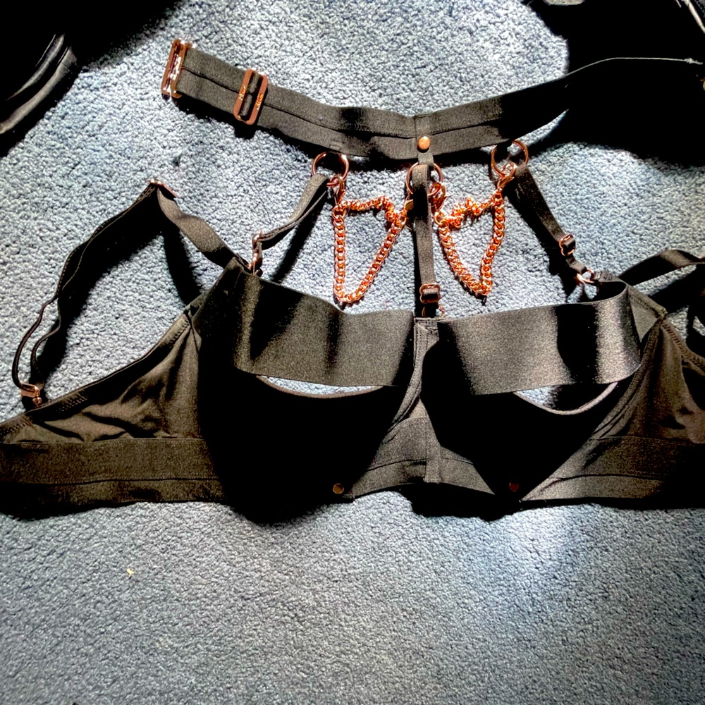 Honey Birdette 36 DDD NEW
